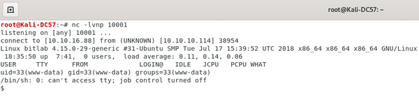 The shell we've gotten.